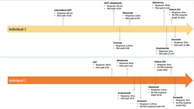 Case Report: Clinical Characteristics and Outcomes of HIV Positive Patients With Metastatic Prostate Cancer Treated With Immunotherapy: A Case Series and Literature Review